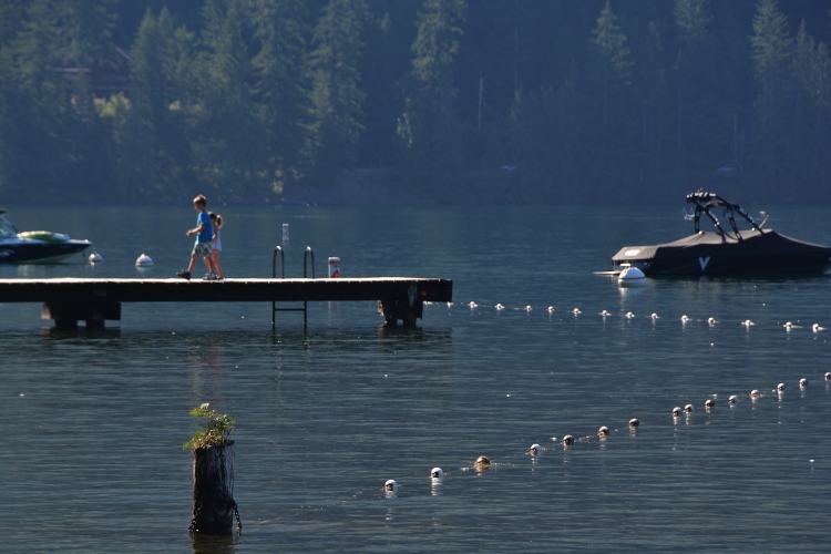 Cultus Lake